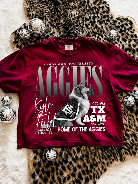 Tuesday Special- Aggies TX A&M Collegiate Boxy Crop Tee