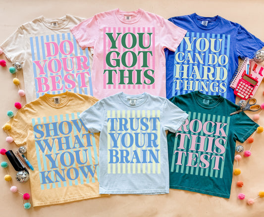 Adult Testing Vibes Comfort Color Tees